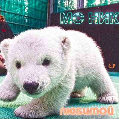 МС НИК - Любимой EP (2012)